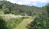 Trail Walking Aydat - NARSE D'ESPINASSE DEPUIS LA GARANDIE - Photo 7