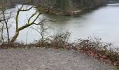 Tour Wandern Hohenfels - Barage  de Nisramont 14 Km - Photo 5