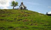 Tour Zu Fuß Abtenau - Postalm Rundweg 2 - Photo 1