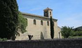 Tour Wandern Cadenet - PF-Cadenet - De Cadenet à Lourmarin - 2 - Photo 4