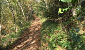 Trail Walking La Sure en Chartreuse - Rando au départ de Saint Julien - Photo 10