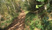 Tocht Stappen La Sure en Chartreuse - Rando au départ de Saint Julien - Photo 10