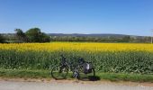 Percorso Bici ibrida Montélimar - Montélimar-Bourg St Andéol-67km - Photo 1