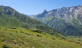 Tour Wandern Peisey-Nancroix - Peisey Vallandry Les Rossets Col d'Entreporte  - Photo 10