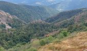 Trail Walking La Bresse - pied du Hohneck - le Kastelbeck - Photo 8