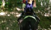 Trail Horseback riding Buriville - randonnée Marion 2 buriville étang de mondon  - Photo 7