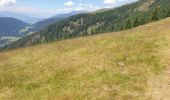 Tour Wandern Toblach - Silverstertal - Valle San Silvestro - Photo 18