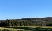 Tour Wandern La Roche-en-Ardenne - Un petit tour dans les fagnes de la goutte en partant de Samree  - Photo 1