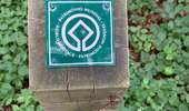 Percorso Marcia Watermael-Boitsfort - Watermaal-Bosvoorde - Parc Solvay Grippensdelle - Photo 1