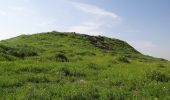 Excursión A pie מועצה אזורית יואב - IL-Regional Trail - Photo 1