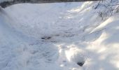 Percorso Sci alpinismo Proveysieux - 140124 Mont Fromage - Photo 3
