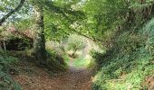 Tour Wandern Trégrom - Trégrom, viaduc et moulin. Bataille du rail - Photo 6