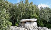 Randonnée Marche Saint-Remèze - Dolmen du Chanet 7km. - Photo 3