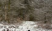 Randonnée Marche Neufchâteau - Hosseuse 4,2 km  - Photo 11