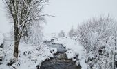 Trail Walking Waimes - A la découverte de Sourbrodt 🥾 - Photo 10