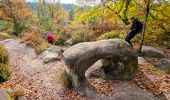 Randonnée A pied Le Vaudoué - Boucle Le Vaudoué - Photo 9