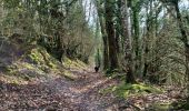 Trail Walking Montagnol - Le mazet trounas montagneol le mazet  - Photo 4