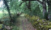 Tocht Stappen Queyssac-les-Vignes - Queyssac  - Photo 3