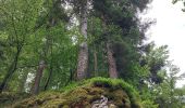 Excursión Senderismo Hauts de Bienne - sentier de la Bienne - Photo 8