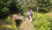 Tocht Stappen Grandfontaine - 2020-09-20 Marche Donon Petit Donon Casemates - Photo 1