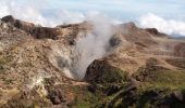 Tour Wandern Saint-Claude - La Soufrière - Photo 9