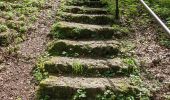 Percorso A piedi Velburg - Lengenfeld - Tropfsteinhöhle - Photo 2