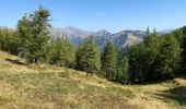 Randonnée Marche Tende - Côme de la nausée - Photo 4