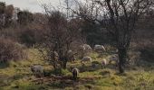 Excursión Marcha nórdica Le Puech - Les Vailhés - Laulo- L'Auverne 15 Février 2023 - Photo 1