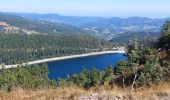 Trail Walking Orbey - Lac noir lac blanc  - Photo 2