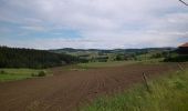 Tocht Stappen Marlhes - petit tour depuis l'airellier du pilat - Photo 1