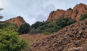 Trail Walking Saint-Raphaël - cap roux rocher barthelemy - Photo 6