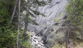 Trail Walking Embrun - rando suf le mpny guillaume montée par le torrent de Marthe  descentr par la route forestière de bois de  Vezin   - Photo 16