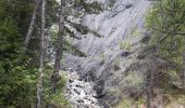 Randonnée Marche Embrun - rando suf le mpny guillaume montée par le torrent de Marthe  descentr par la route forestière de bois de  Vezin   - Photo 16