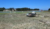 Tour Wandern Plestin-les-Grèves - 2024 RA Bretagne  St Efflam - Locquirec  - Photo 9