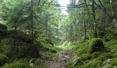 Tour Wandern Gerdsee - pont des fées et saut des cuves  - Photo 6