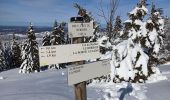 Tour Schneeschuhwandern La Pesse - L'Embossieux - Crêt de Nerbier  - Photo 5