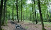 Trail Walking Neufchâteau - Tronquoy - Respelt - Photo 7