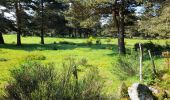 Trail Walking Saugues - live Saugues - Lajo - Photo 4