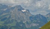 Percorso A piedi Engelberg - CH-Hundschuft Fürenalp - Wasserfall - Photo 4