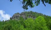 Randonnée A pied Sebnitz - Blauer Strich, Sächsische Schweiz (rechtselbisch) - Photo 1