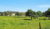 Tour Zu Fuß Echternach - Autopédestre Echternach 1 - Photo 4
