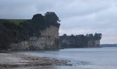 Trail On foot Hibiscus and Bays - Te Araroa NI Low tide - Photo 6