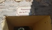 Trail Walking Sillans-la-Cascade - Fox Emphoux - Photo 8