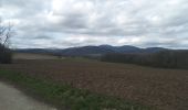 Tour Wandern Sentheim - Autour des quatres villages - Photo 6