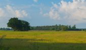 Excursión A pie Krausnick-Groß Wasserburg - Wanderweg Lübben-Hartmannsdorf-Krausnick-Köthen - Photo 8