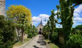 Tour Wandern Saint-Germain-sur-Vienne - Saint-Germain-sur-Vienne - Zig zag GR3 Fontevraud-l'Abbaye - 20km 350m 4h50 (45mn) - 2024 05 08 - Photo 6