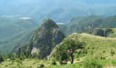 Percorso A piedi Brezoi - gara CFR Lotru - Muchia Urzica - Cabana Cozia - Photo 1