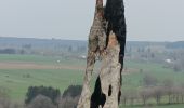 Excursión Senderismo Gouvy - Balade jeudi Rettigny - Photo 1