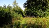 Tocht Stappen Rethondes - en forêt de Laigue_4_08_2019_Mont du Fouilleux_Mont des Singes_Marais de Francière - Photo 10