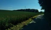 Trail Walking Liège - cani-rando tour (1ère étape) - Photo 5